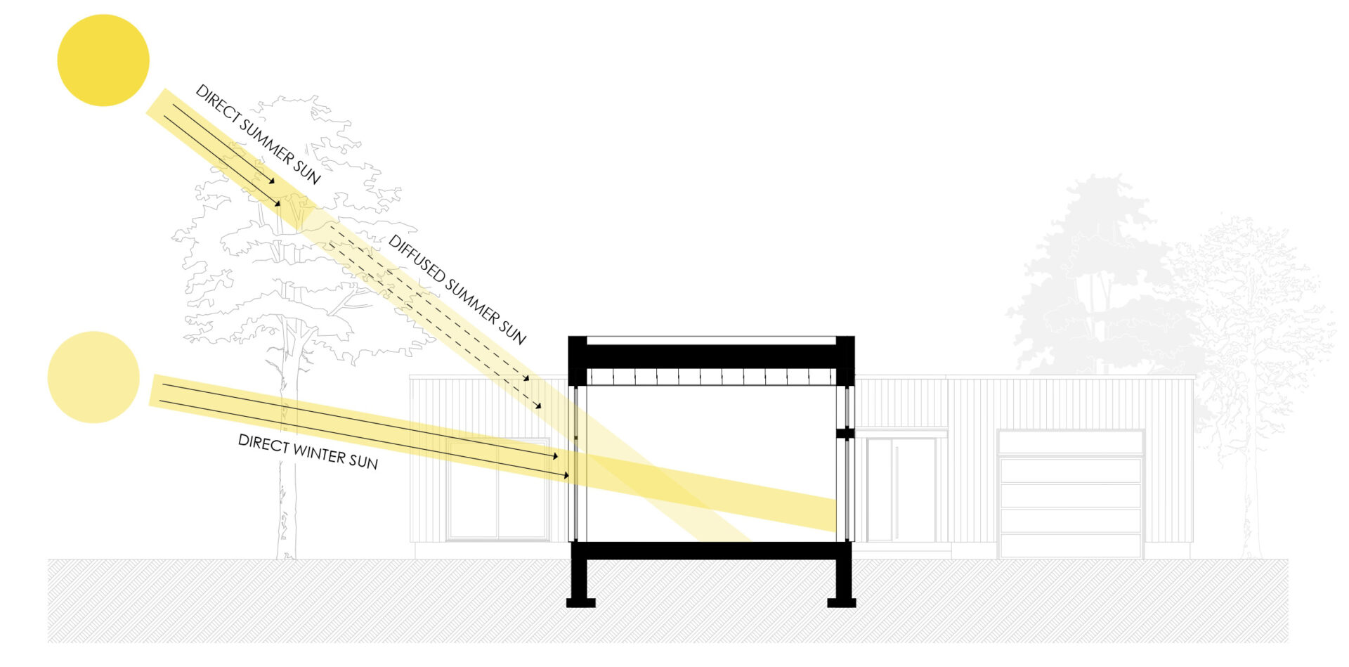Section diagram showing pine trees shading the high summer sun while the low winter sun reaches the windows below the canopy.
